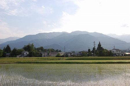DSC_0368