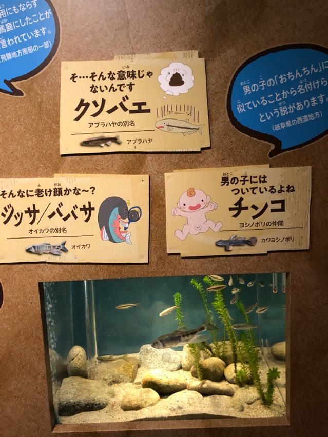 動物たちに癒される こころの森