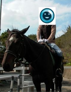 塵も積もれば馬乗れる ほっとけー