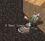 պ2009 Giant Turkey