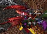 Crimson dragonȤ襤 in T֥쥤('08.11.28)