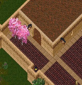 Uo Sakuraシャードの日々 Emイベント Livedoor Blog ブログ