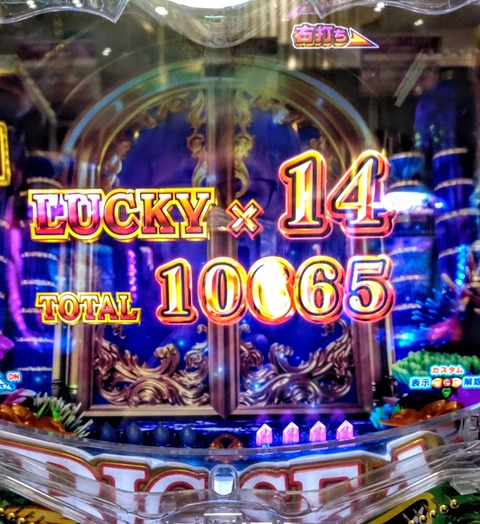 DSC_9133~2