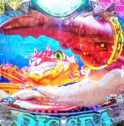 DSC_7037~2
