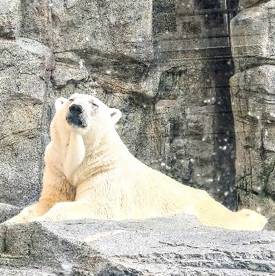 DSC_5392~2 (1)
