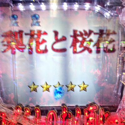 DSC_7289~2