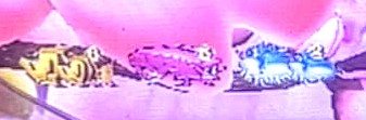 MOV_7333_exported_3985
