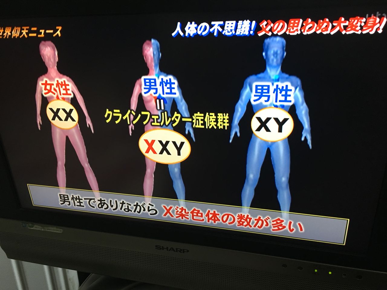 ザ 世界仰天ニュースでも 変身 女装 が特集されていました 人生一度の変身 女装 体験ができる美容店 女装紳士 大阪 なんば ザ 世界仰天ニュースでも 変身 女装 が特集されていました 人生一度の変身 女装 体験ができる美容店 女装紳士 大阪 なんば