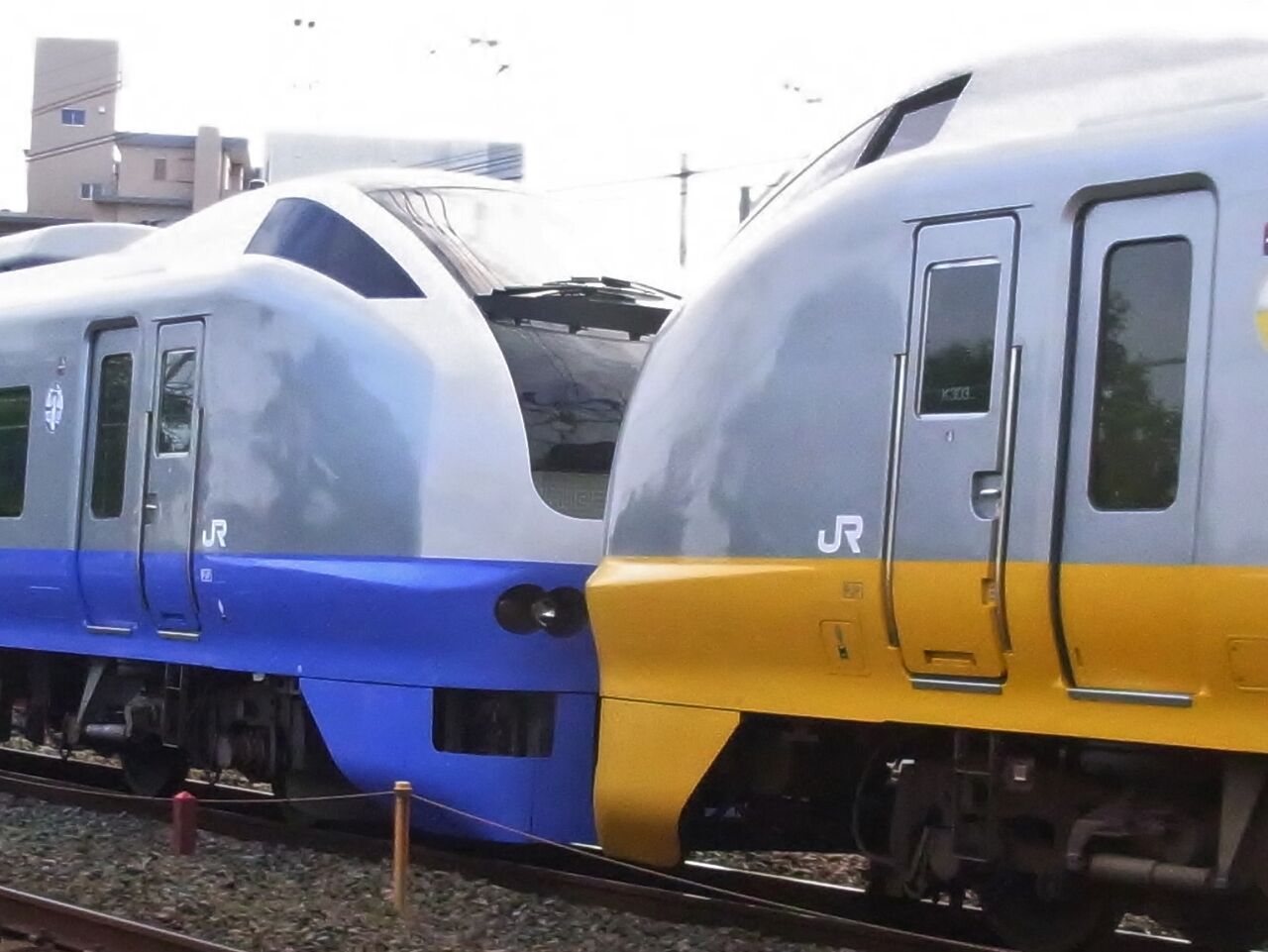 新品人気 グリーンマックス (N) 30540 E653系(フレッシュひたち・青)7