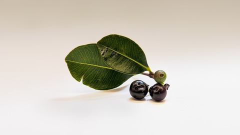 kaveen-me-6WYdGxuTxBo-unsplash