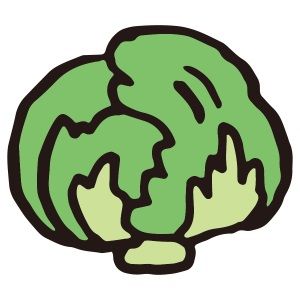 金も飯も無く実家に仕送り要請をしたら、自家製キャベツがダンボール箱一杯に送られてきた