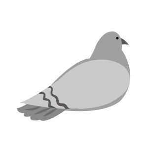 父が鳩を両手でふわって感じで空に投げたら、そのまま頭から落ちて絶命した