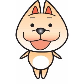 柴犬の散歩してたら、外国人に『キツネ？』って聞かれた。