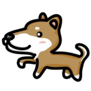 ドヤ顔の犬
