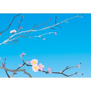 今でも桜を見ると耳を傾けてしまう、あの桜の声が聞きたくて
