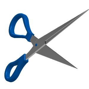 結婚式の前日、寝ている間にコトメに髪を切られ、式当日は下剤を仕込まれた