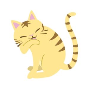 色々お話を聞いてくれてありがとう。オバケでもいいから時々会いにきてね