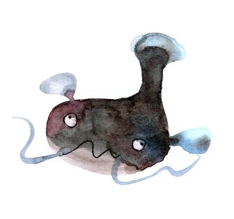 ナマズ