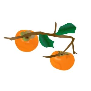 大切の柿の木に放火され、おばあちゃんはその年に亡くなった。