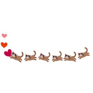 彼氏の家に行ったら、２０匹くらいの猫に襲われた