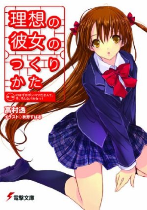 理想の彼女のつくりかた―第1稿のはずがポンコツだなんて、そ、そんなバカなっ! (電撃文庫)