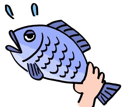 捌かれる魚さん