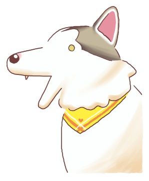 犬の散歩中に３人乗りのスクーターに当て逃げされた話。