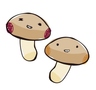 飯くいながらナメコ育てててたら、嫁に怒られたんだが・・・