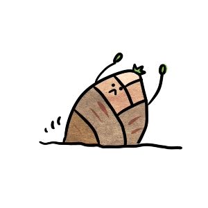 うちの所有している山の竹の子が根こそぎ盗まれていた