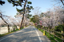IMGP3578