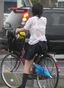 雨に濡れる 漂えど沈まず ロード初心者のピナレロ日記