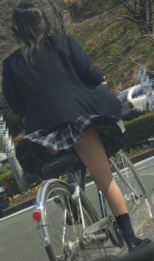 念ずれば花開く 漂えど沈まず ロード初心者のピナレロ日記 念ずれば花開く 漂えど沈まず ロード初心者のピナレロ日記