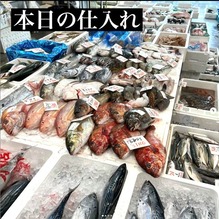 トミー11_