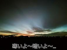 IMG_20221201_172259
