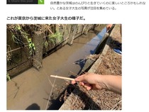 女子大生1