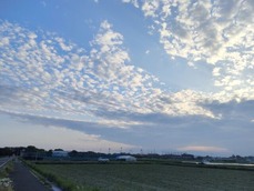 IMG20220413173907