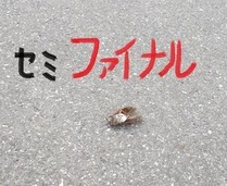 ファイナル