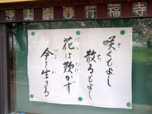 IMGP3569