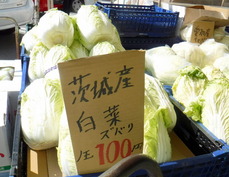DSCF6421