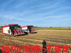 IMG20220819062357_