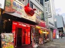 赤豚1