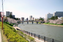 IMGP3515