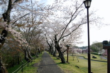 IMGP3593