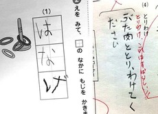 テスト2_