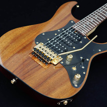 g_custom_koa_4