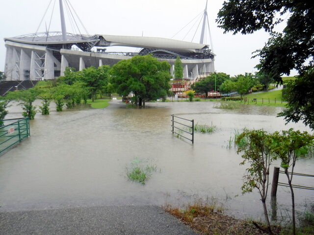 スタジアム 芝生広場水没 豪雨被害 漂えど沈まず