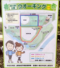IMG20220423061516