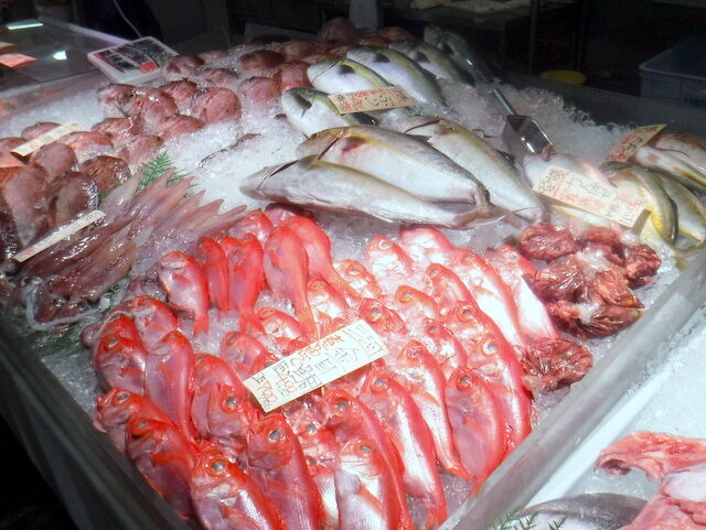 魚好きなら 魚太郎 漂えど沈まず