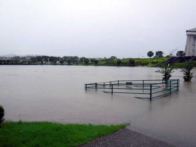 スタジアム 芝生広場水没 豪雨被害 漂えど沈まず