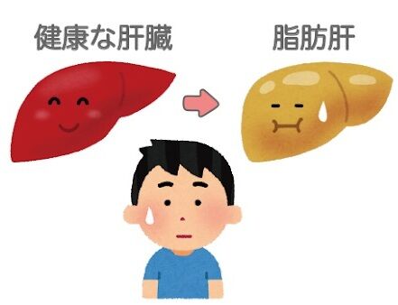 ダイエット新理論 漂えど沈まず